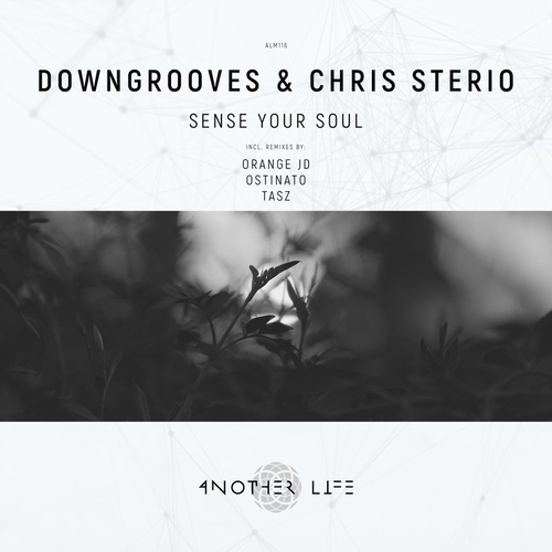 Chris Sterio, Downgrooves - Sense Your Soul [ALM116]